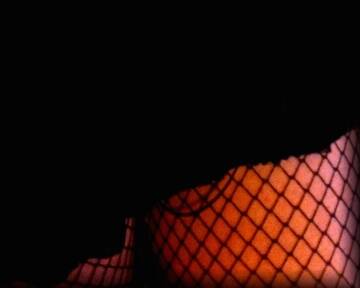 Public Photo of Zia_Elga