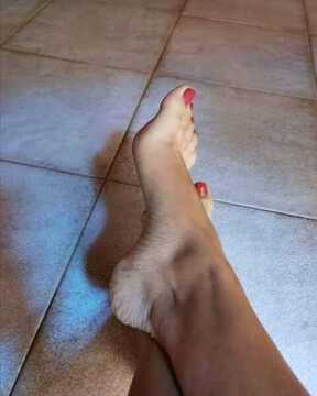 Piedi