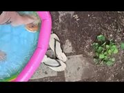 SUMMER FEET FETISH 2 part